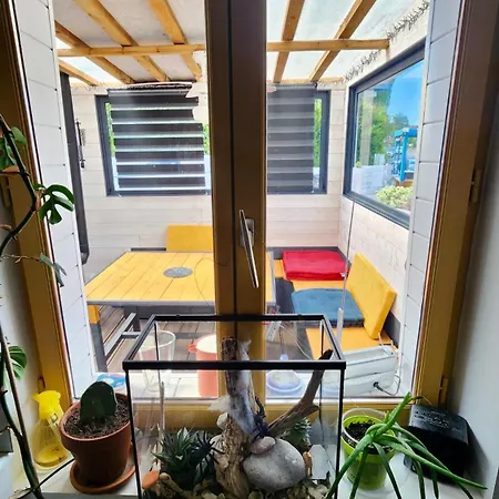 La Petite Maison En Bois Bleue Quiberville