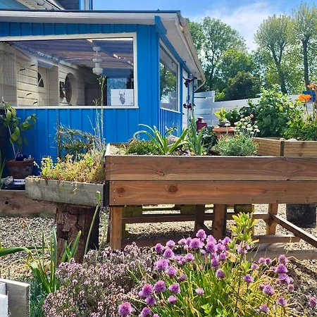 Holiday home La Petite Maison En Bois Bleue Quiberville